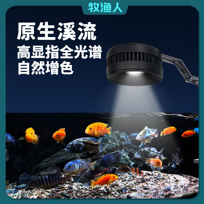 溪光影